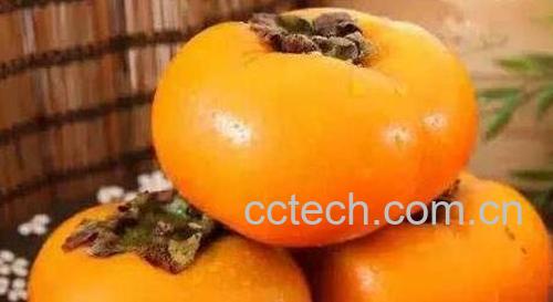 甜柿的功效和作用 吃甜柿的好处有哪些-0