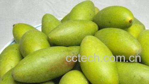 女人吃橄榄的好处和坏处-0