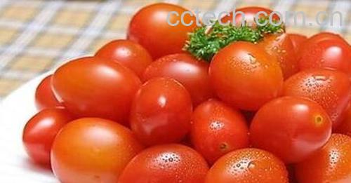 小柿子的功效与作用-0