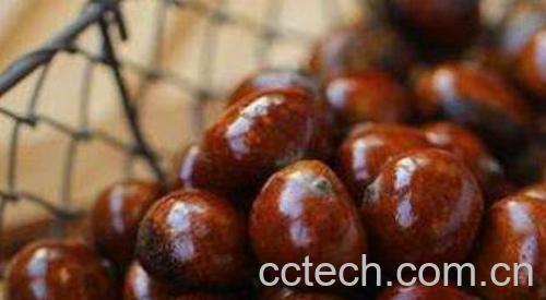 板栗泡酒的功效与作用 板栗的食用方法-1