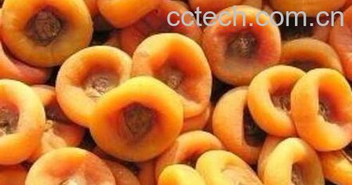 月柿的功效与作用 吃月柿的好处-1