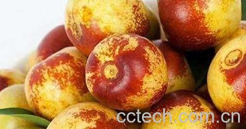 北枣的功效与作用及禁忌-0