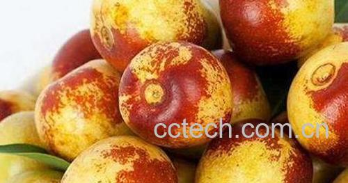 冬枣的功效与作用及禁忌-0