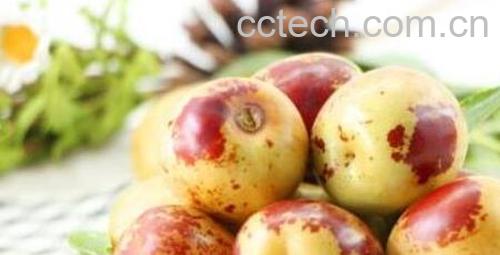 冬枣的功效与作用及禁忌-1