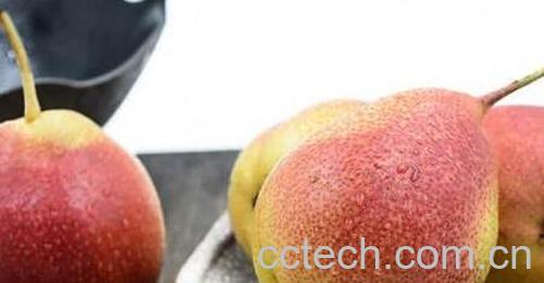 啤梨怎么吃 啤梨什么时候吃最好-1