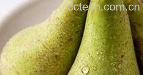 啤梨怎么吃 啤梨什么时候吃最好-0