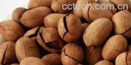 长寿果的功效与作用 长寿果的副作用-0