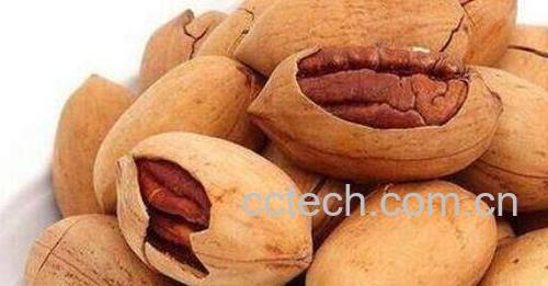 长寿果的功效与作用 长寿果的副作用-1