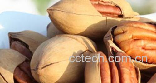 长寿果可以生吃吗 长寿果如何泡酒-0