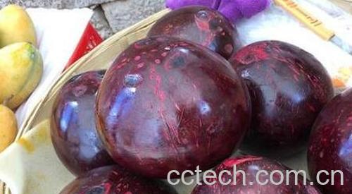 红椰子的功效与作用 吃红椰子的好处有哪些-1