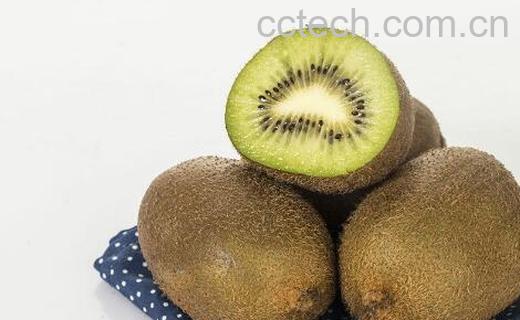 齐峰猕猴桃怎么样 齐峰奇异果的功效与作用-1