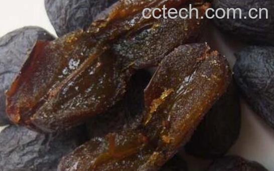 君迁子有核和无核的区别-1