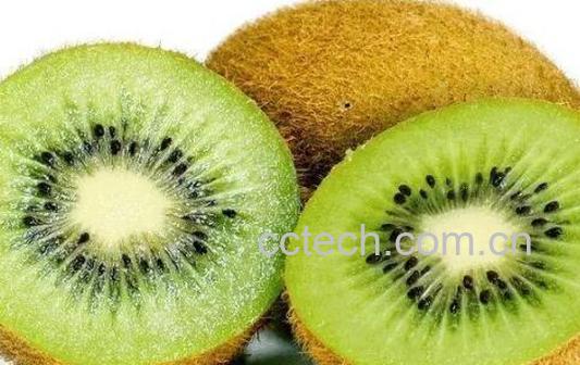 哪些人不宜吃猕猴桃 经常吃猕猴桃的禁忌-0