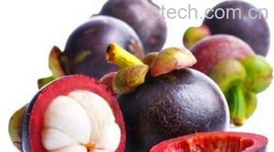 剥山竹的正确方法 山竹正确剥开的方法-1