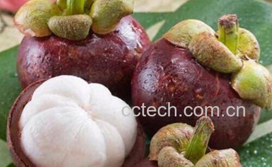 挑选山竹的诀窍 挑选山竹的好方法-1