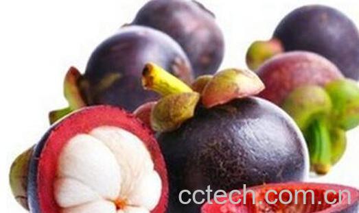 剥山竹手黄了怎么洗掉 剥完山竹怎么洗手-0