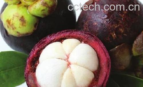 山竹汁手上怎么洗掉-1