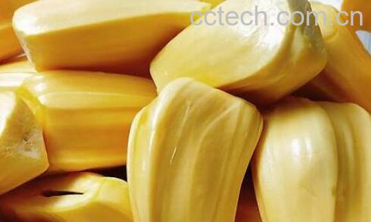 剥好的菠萝蜜怎么保存-1