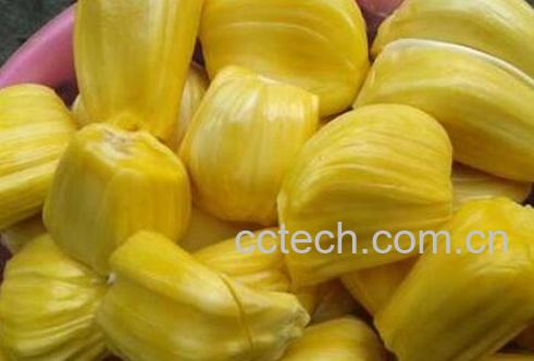 剥好的菠萝蜜怎么保存-0