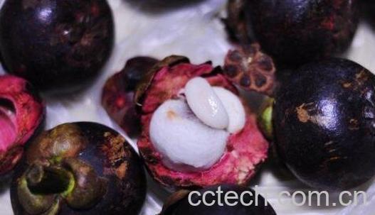 山竹怎么区分新鲜不新鲜-1