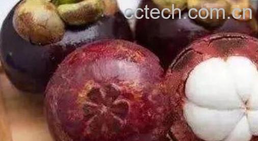 挑选山竹怎样挑选 山竹公母怎么挑选-0