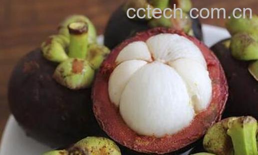 山竹怎么区分新鲜不新鲜-0