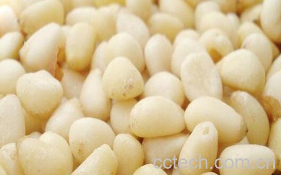 马尾松仁怎么吃 马尾松仁的食用方法-0