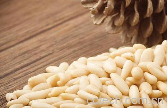 马尾松仁怎么吃 马尾松仁的食用方法-1