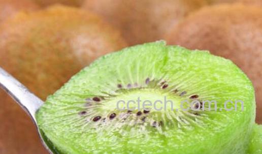 徐香猕猴桃的功效与作用及禁忌-0