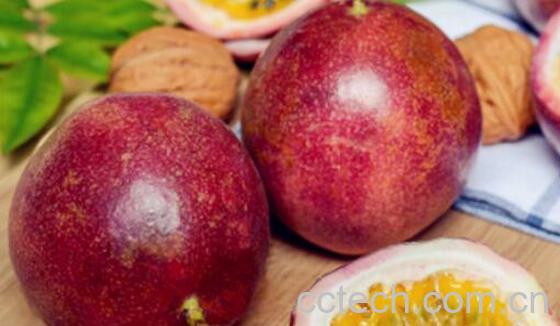 鸡蛋果的功效与作用 吃鸡蛋果的好处和坏处-1