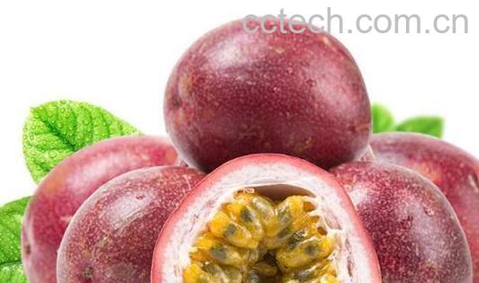 鸡蛋果的功效与作用 吃鸡蛋果的好处和坏处-0