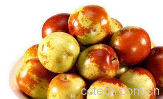 冬枣的营养功效与作用-0