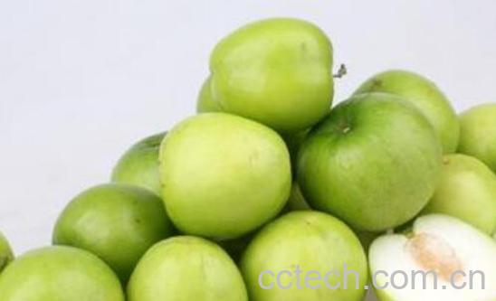 脆冬枣的营养功效与作用-0