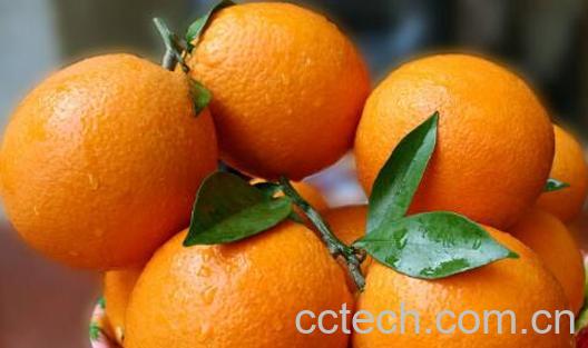 女人每天吃橙子的好处-1