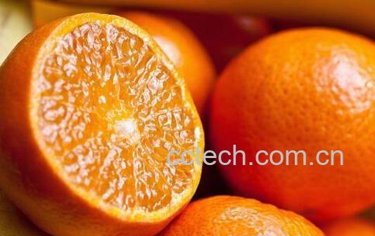 多吃橙子的好处和坏处-0