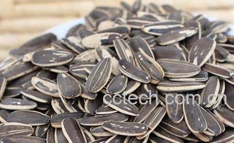 瓜子吃多了有什么坏处-0