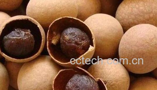 干桂圆怎么吃 干桂圆的食用方法大全-0