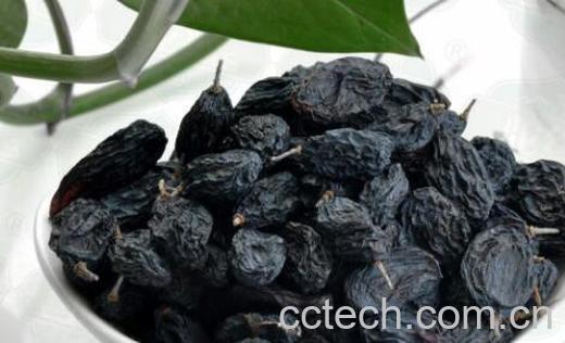 黑加仑干的功效与作用及禁忌-1