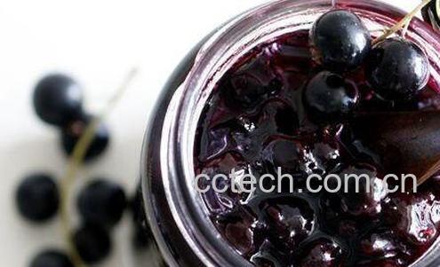 黑加仑果酱的功效与作用-0