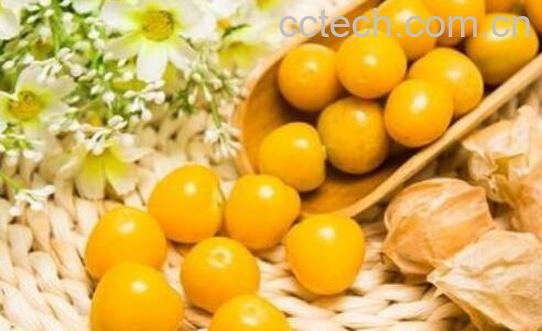 姑娘果的功效与作用 姑娘果怎么吃-1