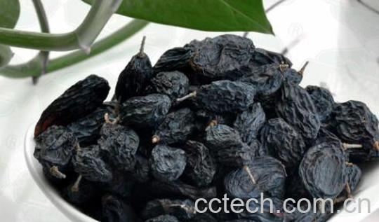 每天吃一把黑加仑的好处-0