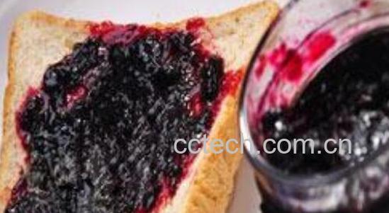 黑加仑果酱怎么吃最好 黑加仑果酱的食用方法-0