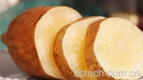 女生吃雪莲果的坏处 吃雪莲果的禁忌-0