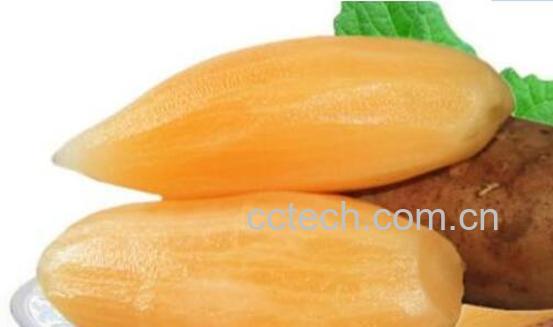 天山雪莲果的功效与作用 天山雪莲果怎么吃-0