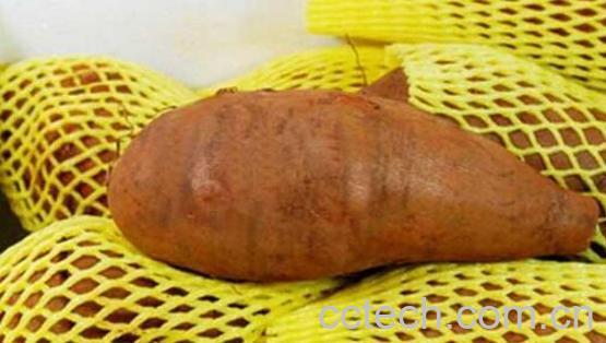 女生吃雪莲果的坏处 吃雪莲果的禁忌-1