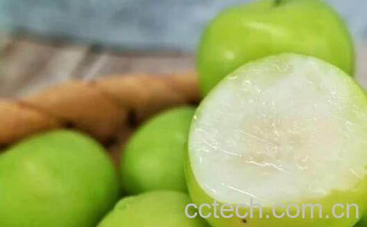 牛奶枣的功效与作用-0