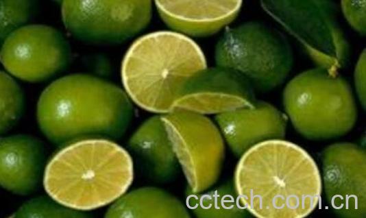青柠檬泡茶的功效与好处-1