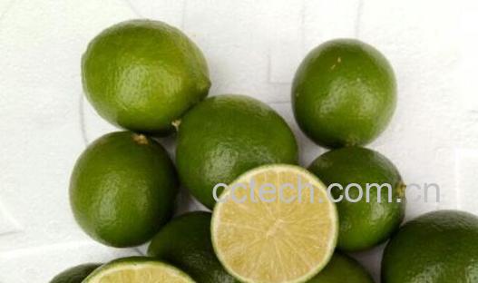 青柠檬泡茶的功效与好处-0