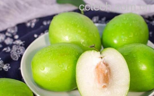 牛奶冬枣的功效与作用及禁忌-1