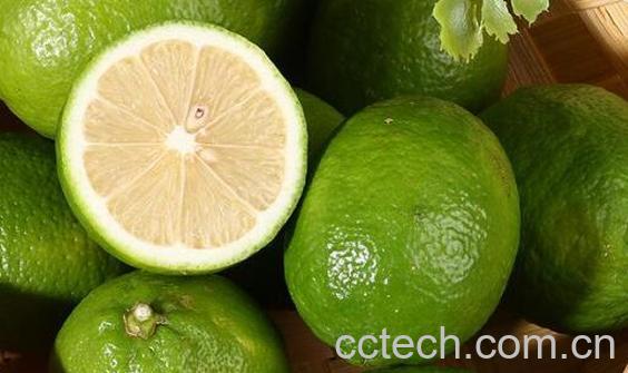 青柠檬怎么吃 青柠檬的常见吃法-1